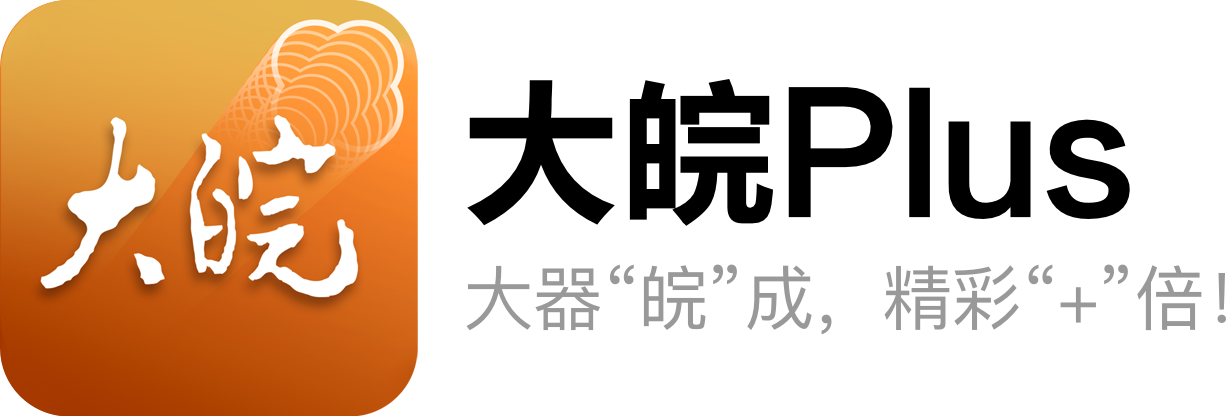 大皖Plus